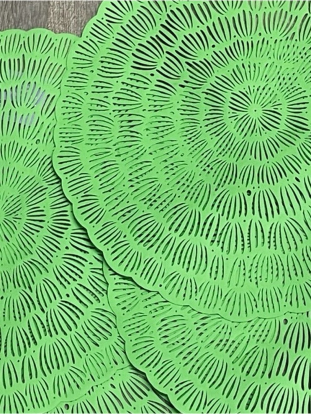 Set of 4 spring summertime sunshine Green Woven Placemat Chargers